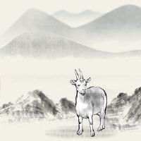 2022只绵羊有两个幸福的东西