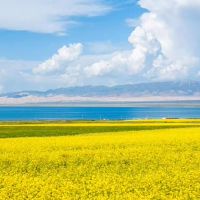 撒谎时，没有脆弱的星座，它过于圆，普通人不是对手。