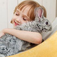 孩子的诞生是21岁的晚上的优秀