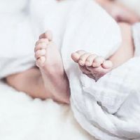 老虎婴儿以18日之后命名