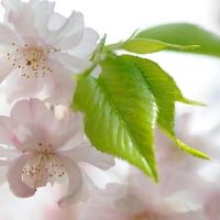 李··逊天周星座财富（4.11-4.17）