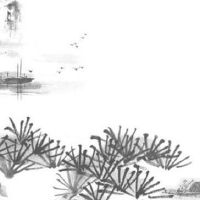 2022年5月19日出生属虎女宝宝命理好不好 事业顺利 福气多多