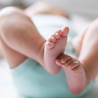 如何获得2022年初出生的Tiger Baby的名称