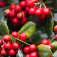 可以安慰他人，但建议他们的星座，了解人，但他们不能走自己