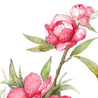 2022年6月28日提车好吗 农历五月二十九是上牌日子吗