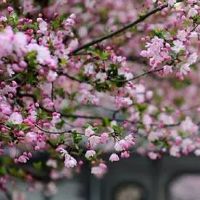 2022年属兔的人5月财运怎么样 会不会破财