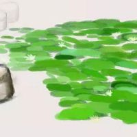 2022年端午节气温高吗 采艾吃端午粽风俗必备