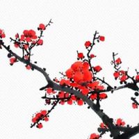 仙女下凡有两种意思 仙女下凡投胎的特征