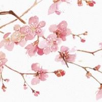 仙女投胎的人的命运 仙女投胎的人有什么特点