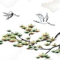 2022年6月6日出生属虎男孩五行缺什么,是什么命