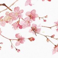 仙女下凡投胎什么命 大多原生家庭条件好