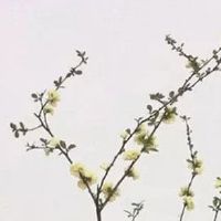 神仙转世凡人的标志 经常会作一些怪梦