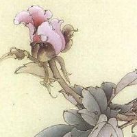 测一下手机号码好不好 最圆满好运手机号码