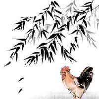 1981年属鸡女一生财运 晚年生活富足美满