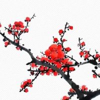 今日五行穿衣色查询:2022年8月22日幸运色指南