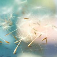 你真正的生活，真正的生活，就在那里吗？