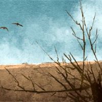 耿伊利柱的冒险冒险了吗？