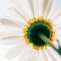 天生讨喜，无论走到哪儿，都很受欢迎的4个星座