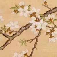 水命去哪个城市顺利 西北正北财运来