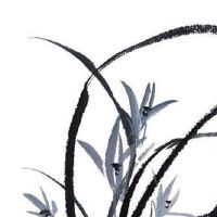 什么样的人容易发横财 有清晰地自我长远规划