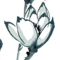 2022年8月29日五行看穿衣,今日穿衣幸运色盘点