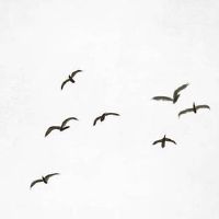 2022年6月23日出生的男孩命理查询 福禄荣昌 财源滚滚