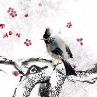 乙酉年生井泉水命怎么样？