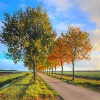 2022年8月30日呢？它是黄道姬日本吗？