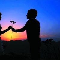 不会表达爱，但是由星座默默地支付