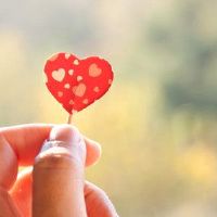 12个星座不采取人？