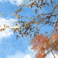 大林木命旺事业 才盛气盛最为有才