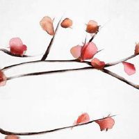 2022年6月29日出生的男宝宝八字命理分析 福气笼罩 好运爆棚