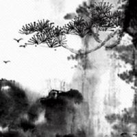 男人纹身纹什么运气好 纹身盖疤运气差