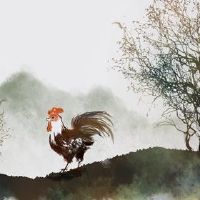 ransel羊的命运和婚姻如何？