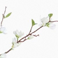 每日特吉生肖:2022年9月18日生肖运势吉凶排行