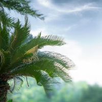 十二个星座将单身？这是不可能的吗？还是太高了？