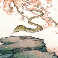 13年的蛇女寿命2023幸运的财富兔子财富查询