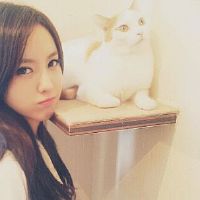 哪个星座最容易谈论无缝连接爱情？