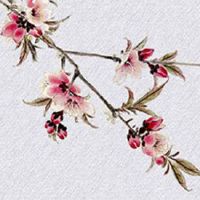 车牌号码测吉凶最准确 5位数靓号参考