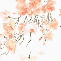 流年夫妻宫武曲化忌 武曲化碌配偶分析