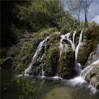 女王7月31日，2022年是几天的月历
