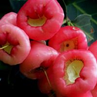 有三个大星座有一个愚蠢的，实际上是最伟大的智慧。