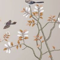 女孩子手纹又多又乱 女人手掌乱纹多预示着什么