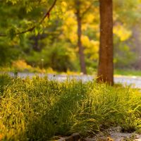 如何在2019年3月16日出生的男孩出生时获得名字