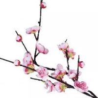 最新运程:2022年9月23日特吉生肖运势排行