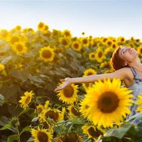 表面大人，实际上，四大巨大的安全感感