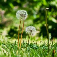 静电鱼是每周财富（4.25-5.1）