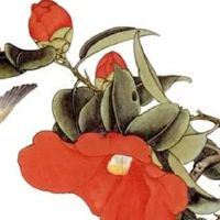 属猴几点出生大富大贵 巳时酉时卯时生福运多多