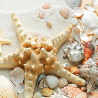 蒂姆周星座财富（4.24-4.30）