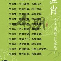 秦阳明每日十二生肖财富4月24日，2022年